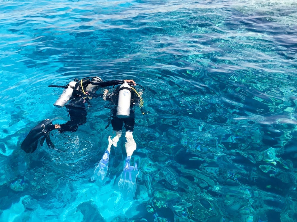 Coral Reef Diving