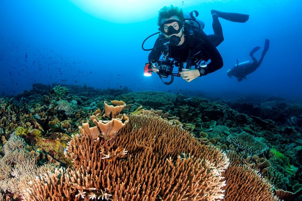 Guided Diving
